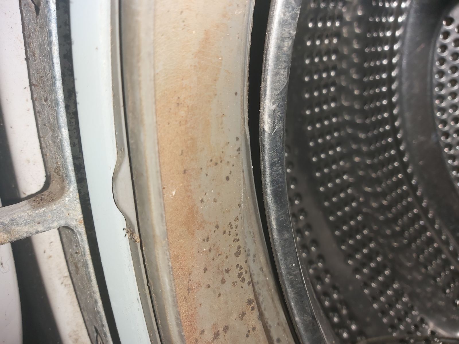 Как очистить стиральную машину от плесени (1)